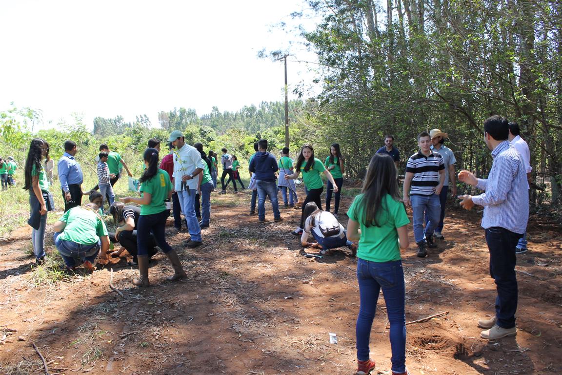 Ribas do Rio Pardo